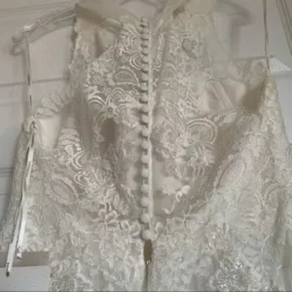 Pronovias Draconia Wedding Dress - Picture 10 of 13